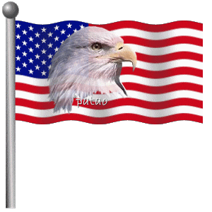 US Flag_patao.gif (114486 bytes)