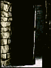 frankey2.gif (28451 bytes)