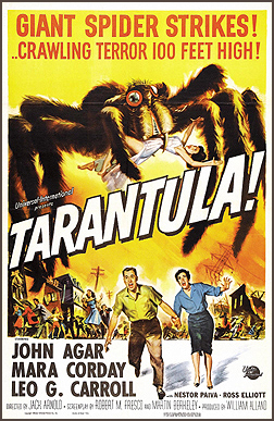 tarantula1shWeb1.jpg (174313 bytes)