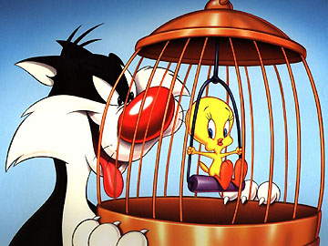 tweetysylvester.jpg (51519 bytes)